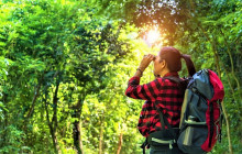 Greenway Nature Tours818