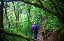 Greenway Nature Tours834