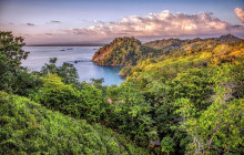 Greenway Nature Tours859