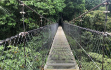 Greenway Nature Tours877