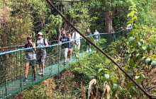 Greenway Nature Tours879