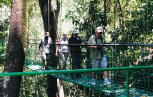 Greenway Nature Tours886