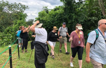 Greenway Nature Tours896