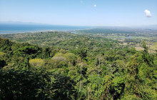 Greenway Nature Tours898
