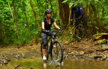 Greenway Nature Tours920