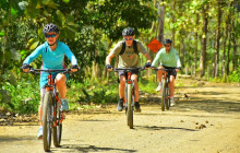Greenway Nature Tours922