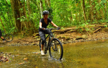Greenway Nature Tours924
