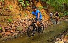 Greenway Nature Tours926