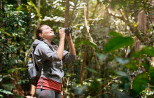 Greenway Nature Tours955