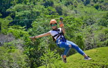 Greenway Nature Tours964