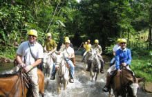 Greenway Nature Tours969