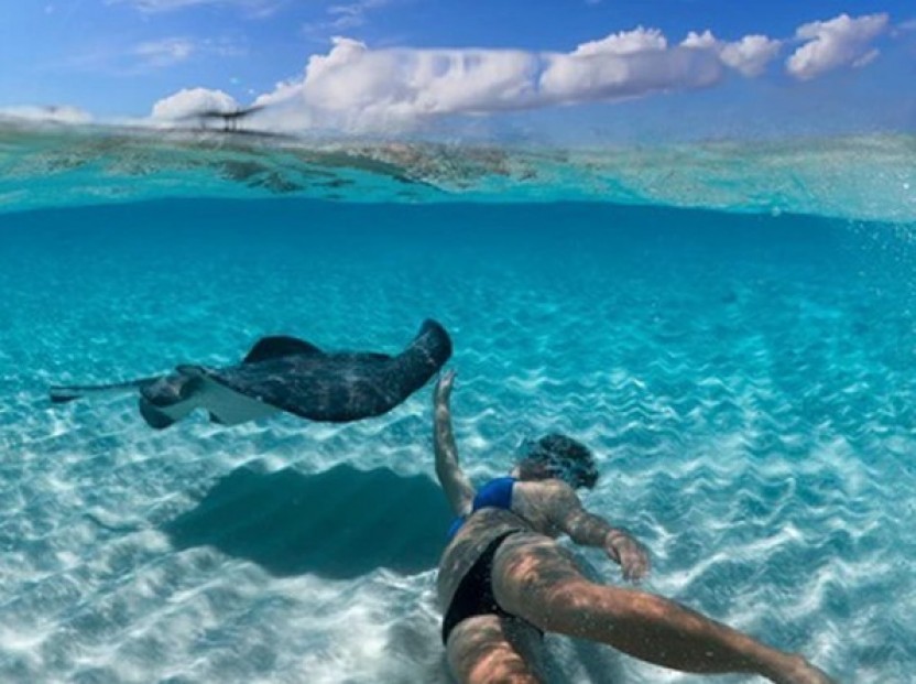 Private Stingray City, Coral Garden & Starfish Snorkel