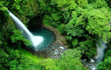 Greenway Nature Tours1052