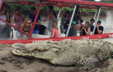 Greenway Nature Tours1079