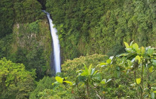 Greenway Nature Tours1082