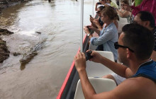 Greenway Nature Tours1087