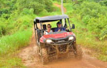 Greenway Nature Tours1111