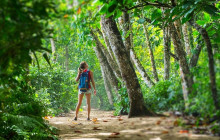 Greenway Nature Tours1151