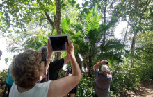 Greenway Nature Tours1161