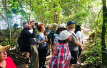 Greenway Nature Tours1165