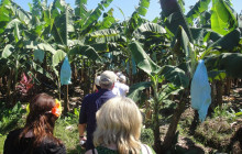 Greenway Nature Tours1209
