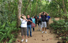 Greenway Nature Tours1217