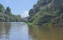 Greenway Nature Tours1265