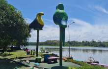 Greenway Nature Tours1275