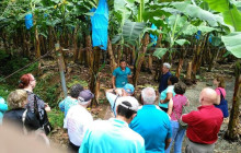 Greenway Nature Tours1294