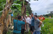Greenway Nature Tours1296
