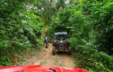 Greenway Nature Tours1353