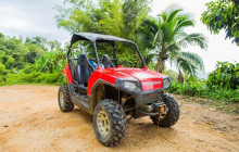 Greenway Nature Tours1354