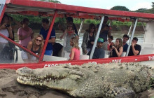 Greenway Nature Tours1363