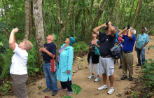 Greenway Nature Tours1367