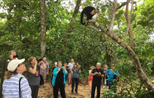 Greenway Nature Tours1368