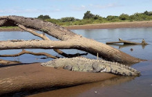 Greenway Nature Tours1374