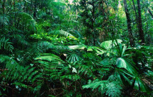 Greenway Nature Tours1383