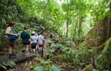 Greenway Nature Tours1387