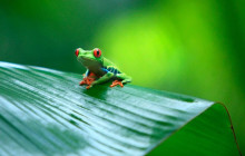 Greenway Nature Tours1389