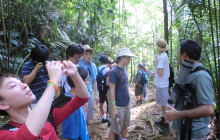 Greenway Nature Tours1390