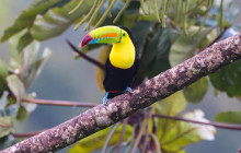 Greenway Nature Tours1395