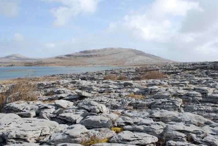 Cliffs of Moher, Galway + the Burren Tour from Dublin