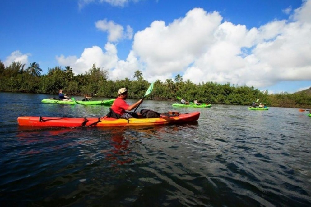 kauai waterfall kayak tour