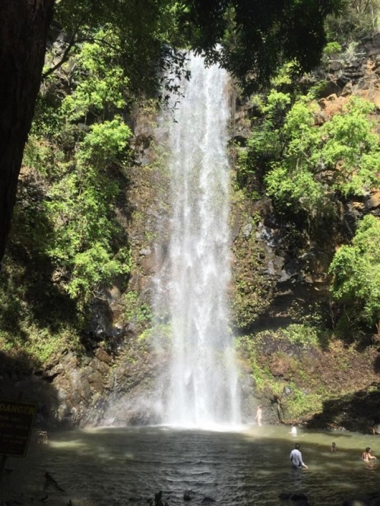 Kauai Secret Falls Guided Kayak Tour 7am or 12pm Kapaa Project