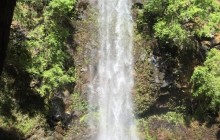 Kauai Secret Falls Guided Kayak Tour - 7am or 12pm