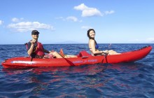 The Ultimate Maui Whale Watch