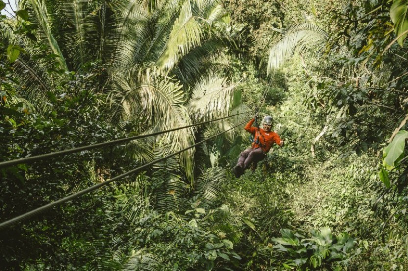 Ziplining - Daytime Flying