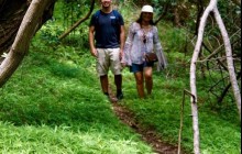 Private: Iao Valley Excursion without Transportation
