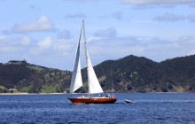 A Day of Sailing in the Bay of Islands