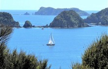 A Day of Sailing in the Bay of Islands
